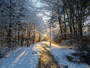 livi_snow